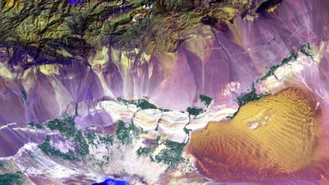 未来のための資金教育: ファイナンシャルリテラシーの構築の重要性