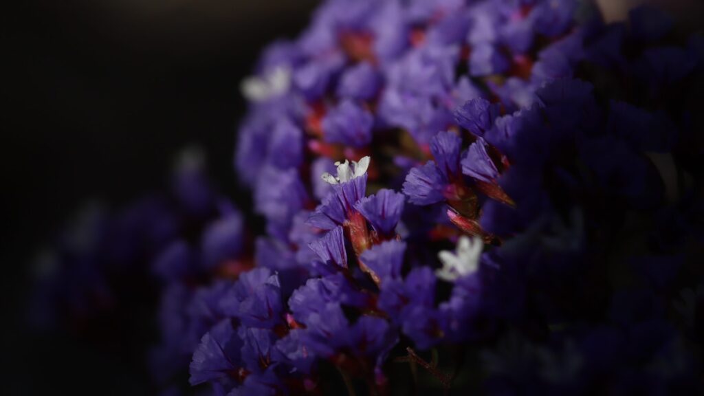 未来のための資金計画：実践的なステップを把握せよ