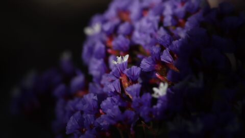 未来のための資金計画：実践的なステップを把握せよ