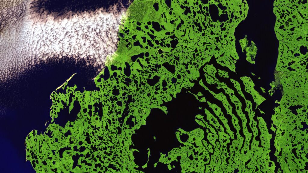 クレジットカードの借金問題を乗り越える：健康な財務へのステップ