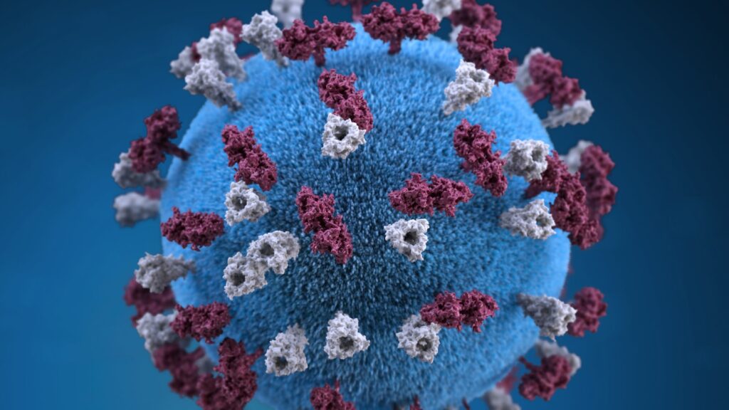 「初心者のための効果的な貯金術：個人基金の築き方」