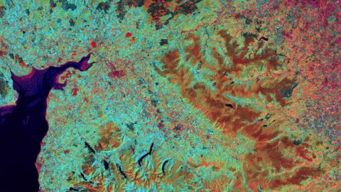 知る価値あり！仮想通貨入門：デジタル通貨を理解する基礎ガイド