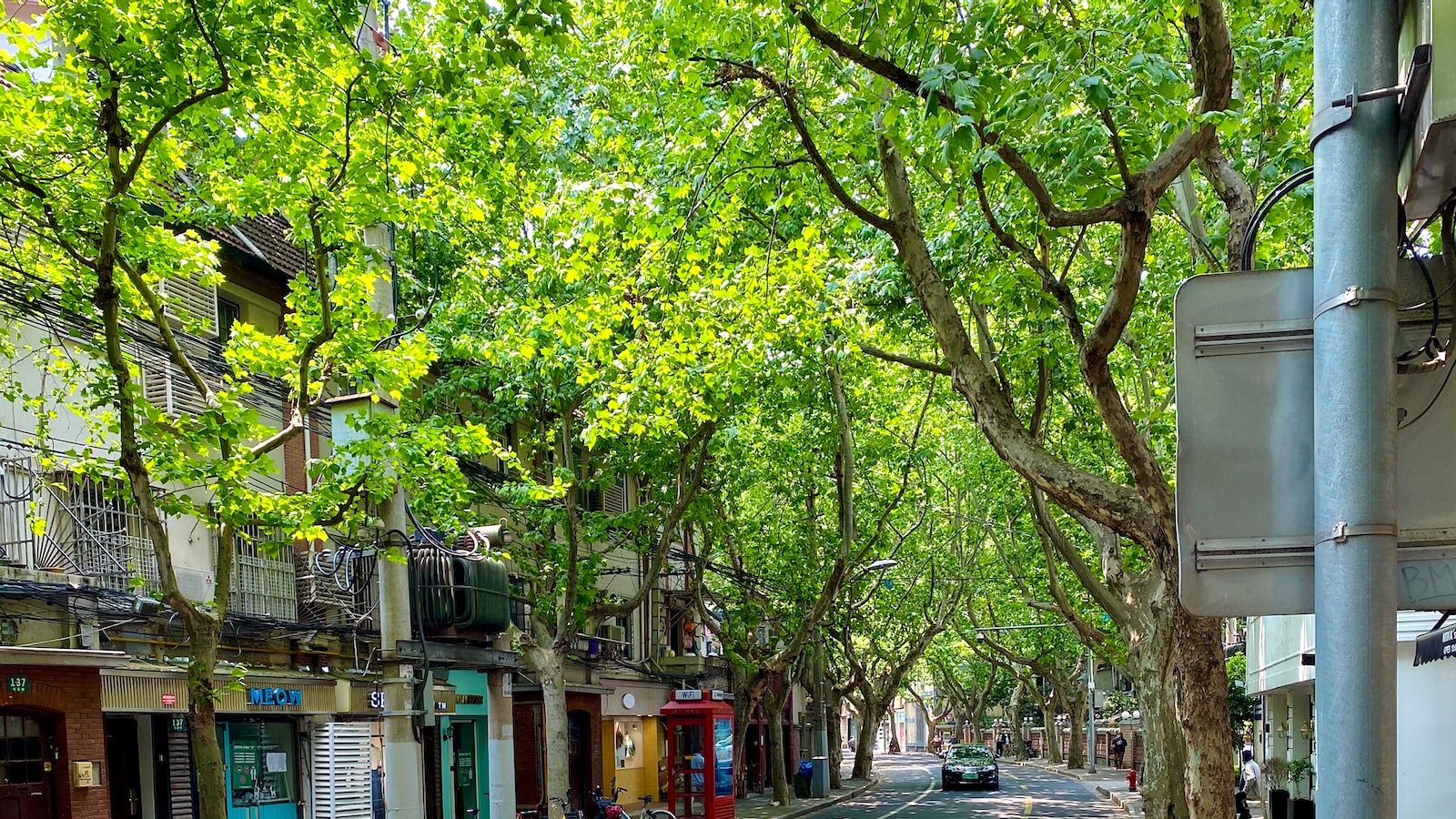 節約の重要性と効果的な方法