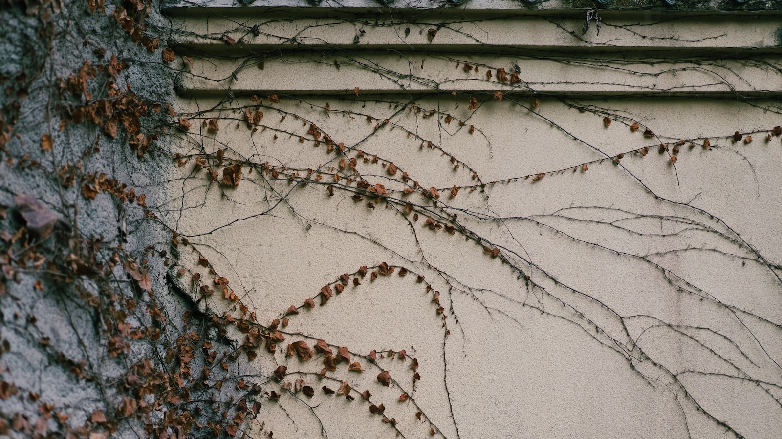 未来に向けた資金計画の重要性