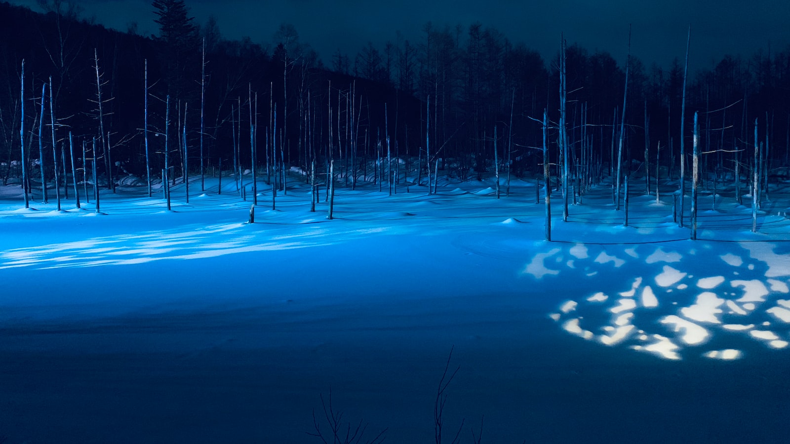 負債を管理し、借金を返済する方法