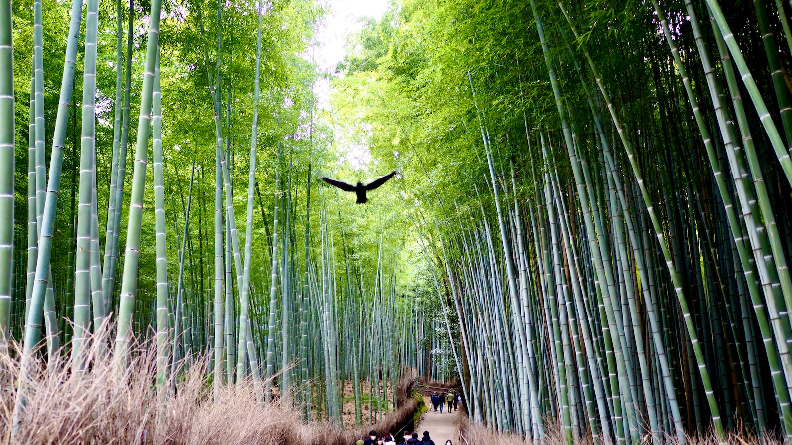 具体的なステップを実行し、未来のための資金計画を実現する