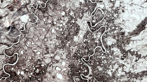 家計簿の魔法術：賢明な戦略で家計をコントロール