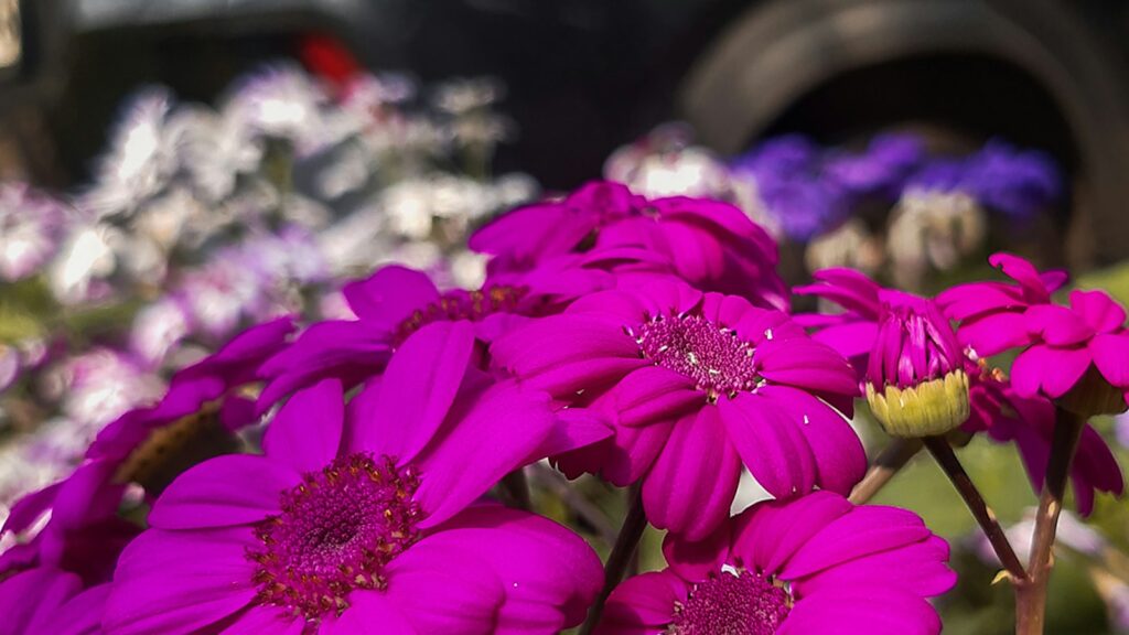 株初心者のための株投資: 繁栄への最初のステップ