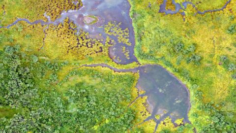 お金を賢く貯めるための効果的な貯蓄テクニック