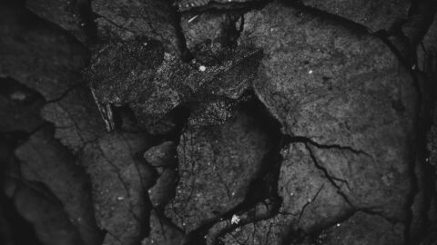 税金を知って、確定申告を最適化する方法