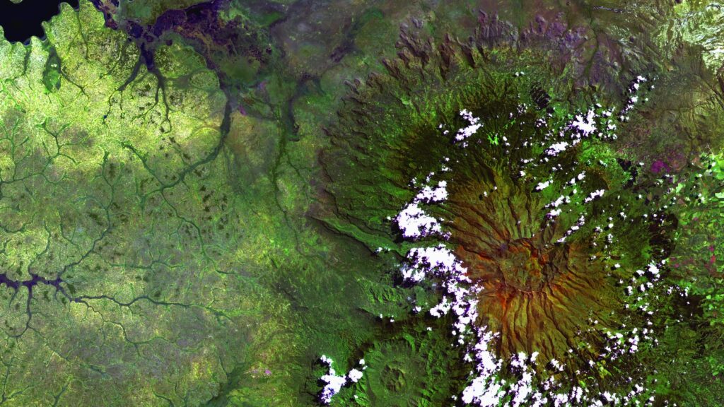 株式、債券、投資信託の比較: どれがおすすめ？