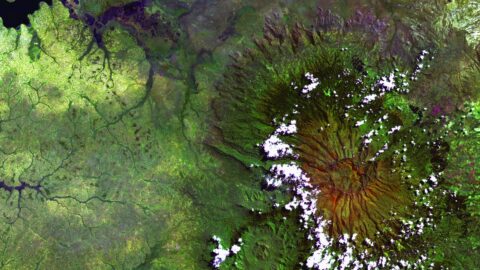 株式、債券、投資信託の比較: どれがおすすめ？