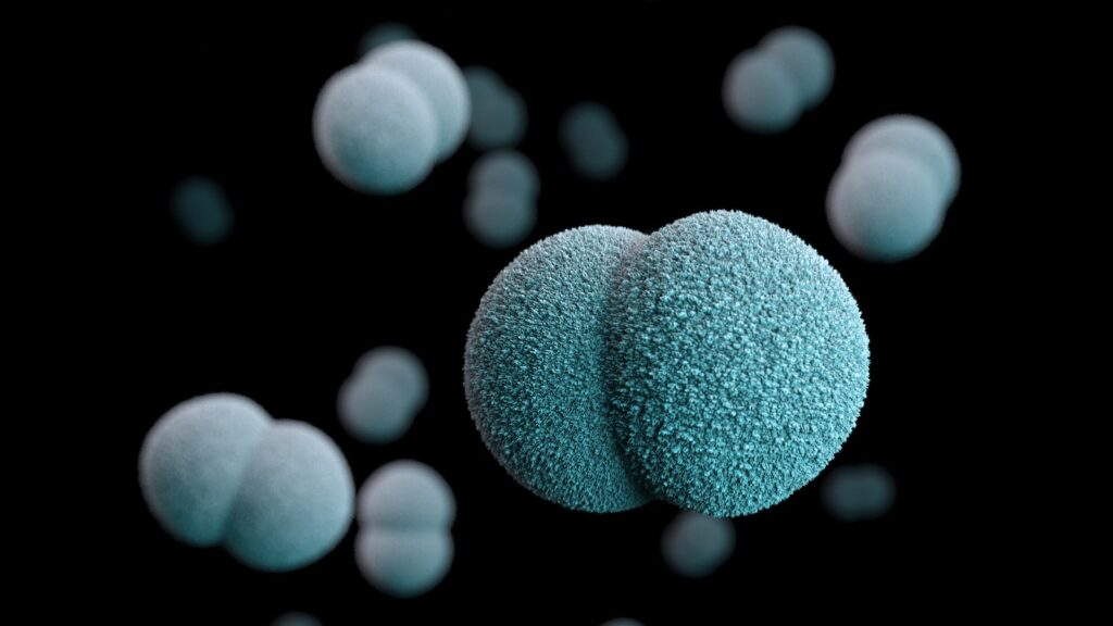 借金をスマートに管理する方法: 借金を適切に返済する効果的な戦略