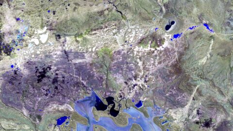 健康保険の重要性：あなたと家族の幸福を守る (Kenkō hoken no jūyōsei: Anata to kazoku no kōfuku o mamoru)