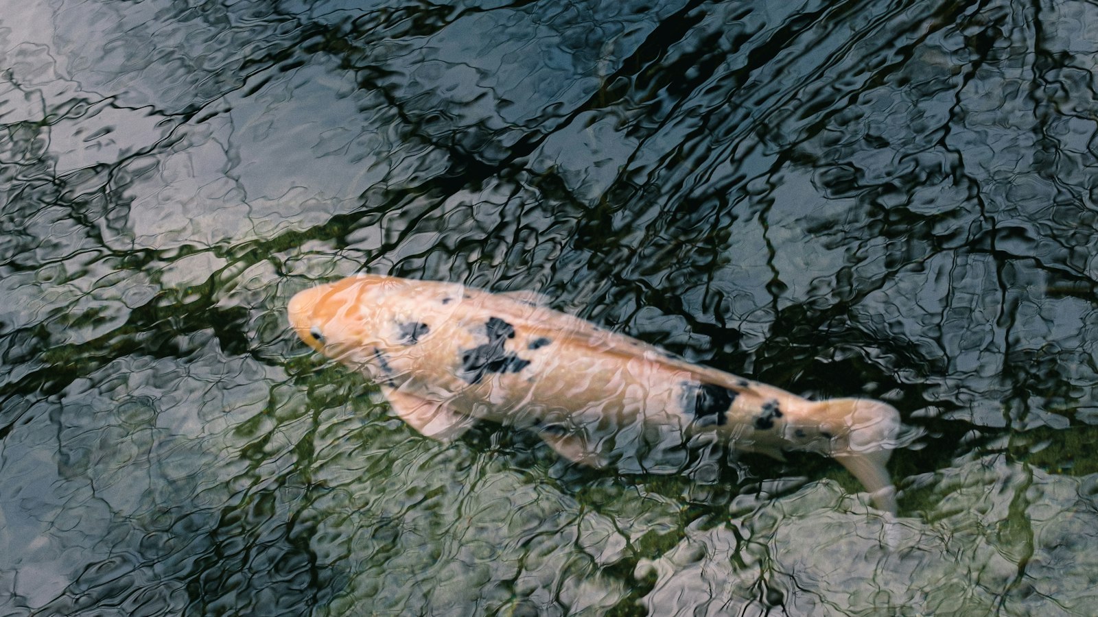 老後の準備に不可欠な資金計画の作成方法