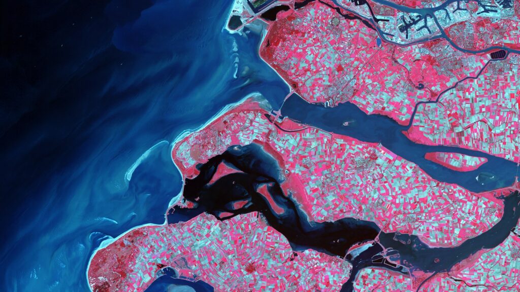 収入増加へのヒントと戦略：サラリー最適化を目指して