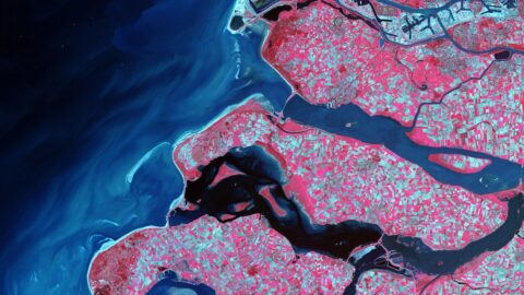 収入増加へのヒントと戦略：サラリー最適化を目指して