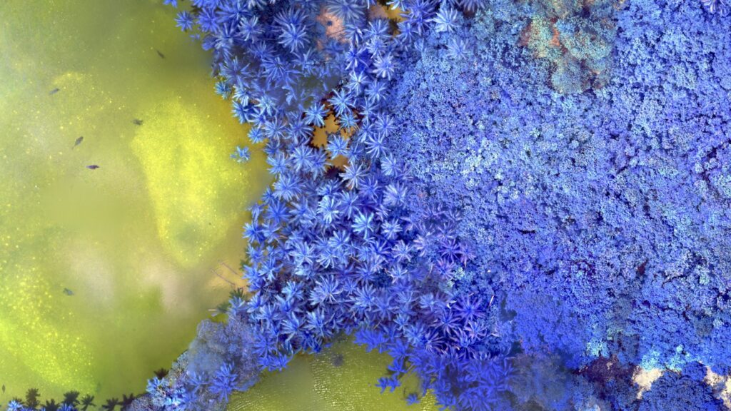 「財政的な持続性を追求し、資産的な遺産を築く重要性」