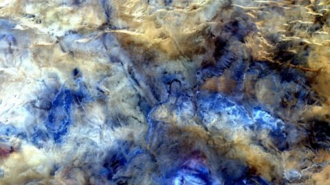 金融危機乗り越え術：知恵を糧に賢く苦境脱出